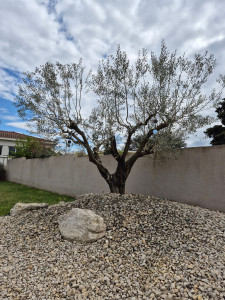 Photo de galerie - Paysagiste - Aménagement du jardin