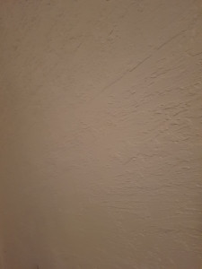 Photo de galerie - Pas de descriptif photo