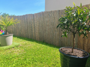 Photo de galerie - Paysagiste - Aménagement du jardin