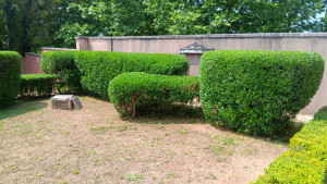 Photo de galerie - Taille