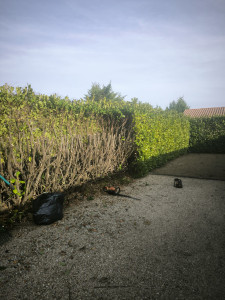 Photo de galerie - Avant