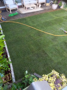 Photo de galerie - Paysagiste - Aménagement du jardin