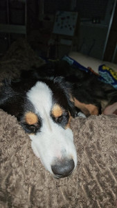 Photo de galerie - Petit Tayko , avec moi une semaine ?