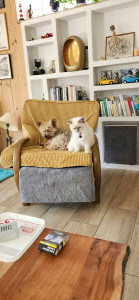 Photo de galerie - Nous, on s'aime !