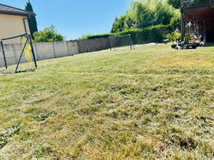 Photo de galerie - Tonte d’une maison