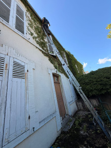 Photo de galerie - Nettoyage d'une façade et des Gouttières 