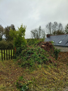 Photo de galerie - Abattage terminé.