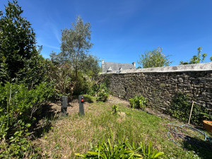 Photo de galerie - Défrichage 2/3