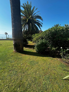 Photo de galerie - Taille et désherbage 