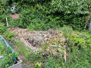 Photo de galerie - Débarras du fond de jardin 