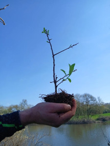 Photo de galerie - L'amour de la nature