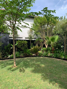 Photo de galerie - Création jardin 