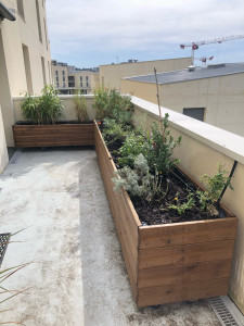 Photo de galerie - Paysagiste - Aménagement du jardin