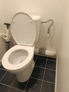 Photo de galerie - Remplacement toilettes 