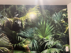 Photo de galerie - Décolleuse à papier peint