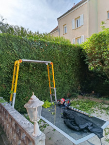 Photo de galerie - Taille de haie hauteur 2m50