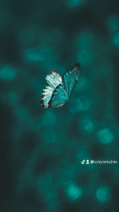 Photo de galerie - Aide à la personne