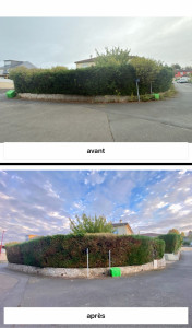 Photo de galerie - Avant et après