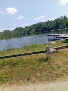 Photo de galerie - Tonte de pelouse - Débroussaillage