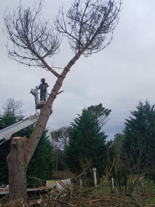 Photo de galerie - Bonjour entretien Espaces Verts propose c service dans entretien Espaces Verts èlagage abattage etetage d arbre taille de haie débroussaillage tente derbe décapage toiture terrasse façade peinture et autre recuperation de tout déchets verts 