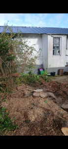 Photo de galerie - Coupe de l’if