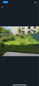 Photo de galerie - Avant entretien du jardin 