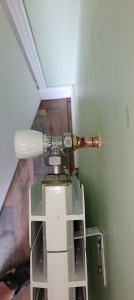 Photo de galerie - Remplacement tête thermostatique 