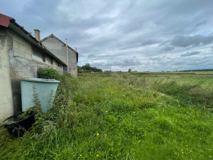 Photo de galerie - Tonte de pelouse - Débroussaillage