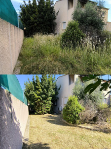 Photo de galerie - Débroussaillage en plusieurs passes plus ramassage