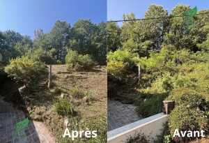 Photo de galerie - Tonte de pelouse - Débroussaillage
