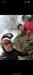 Photo de galerie - Abattage et élagage de tout type de haie 