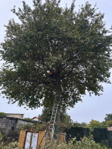 Photo de galerie - Nous sommes professionnels et compétents dans toute situation avec ou sans nacelle. Nos devis et déplacement sont totalement gratuit. N’hésitez pas.