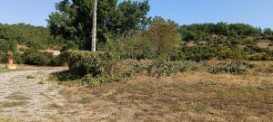 Photo de galerie - Débroussaillage après