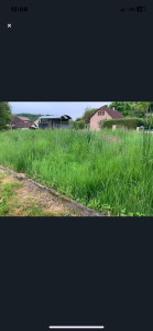 Photo de galerie - Tonte de pelouse - Débroussaillage