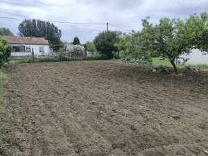 Photo de galerie - Réalisation d'un potager de 200 mètres carrés