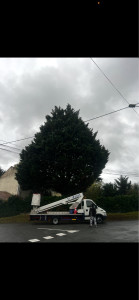 Photo de galerie - Elagage et coupe d'arbres