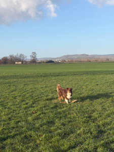 Photo de galerie - Des promenades 
