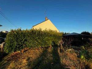 Photo de galerie - Avant taille de haie à Luynes