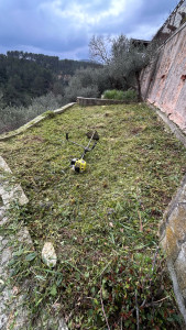 Photo de galerie - Débroussaillage 