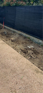 Photo de galerie - Coupe de haie nette pour terrassement futur salle 
