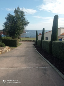 Photo de galerie - Taille de haies et d'arbustes