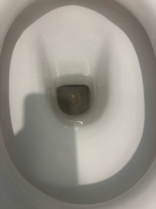Photo de galerie - Remise en état toilettes 