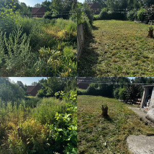 Photo de galerie - Tonte de pelouse - Débroussaillage