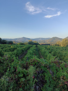 Photo de galerie - Sérieuse souriante.etre a l écoute 