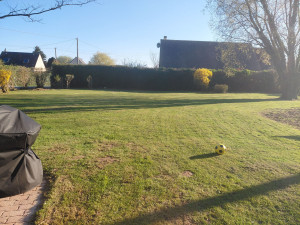 Photo de galerie - Tonte et taille 
