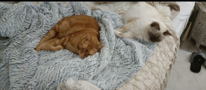 Photo de galerie - Cocooning