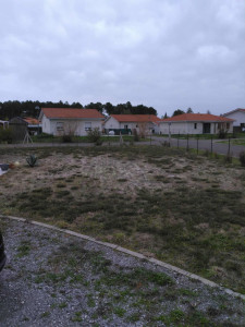 Photo de galerie - Paysagiste - Aménagement du jardin