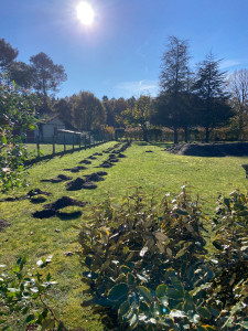 Photo de galerie - Plantation de haies