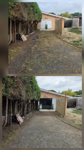 Photo de galerie - Désherbage d’une allée goudronnée 