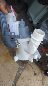 Photo de galerie - Toujours disponible 